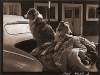 shepherd dogs - 1942