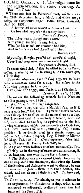 Dictionary of the Scottish Language, 1808 features the definition for "collie"