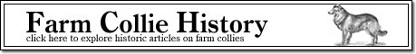 Farm Collie History