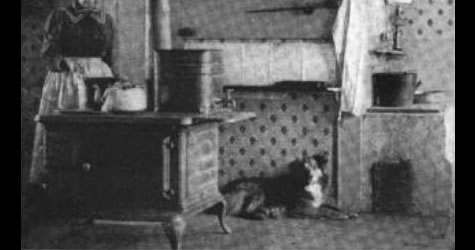 Photo of an old fashioned collie that appeared in Country Life in America in 1912