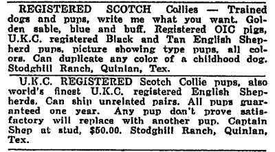 Tom Stodghill's ad for Scotch_Collies